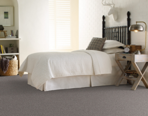Shaw Flooring Pet Perfect Calm Simplicity II Collection